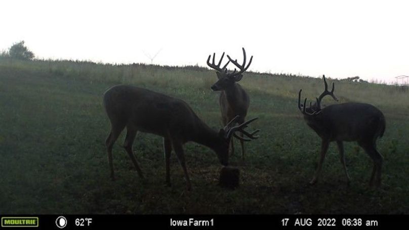 image637963259013589420