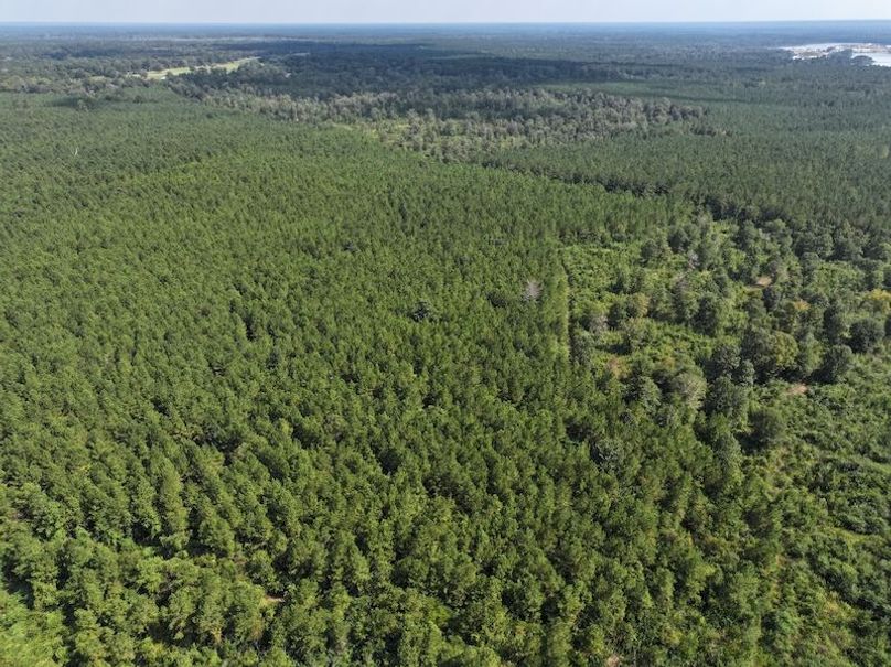 dji_fly_20250915_151632_0478_1758029010038_photo