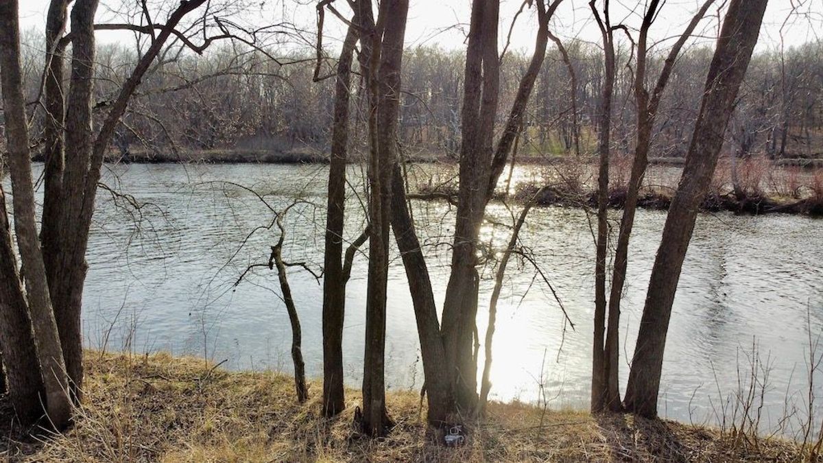 Buildable River Lot On Crow Wing River Whitetail Properties