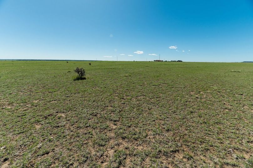 Peublo CO 40.27 Spinuzzi - 014