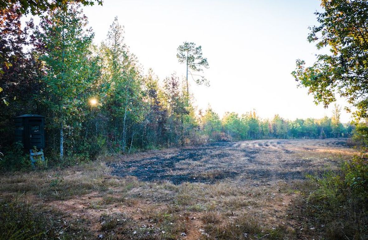 Clay 302.7 Henderson-03