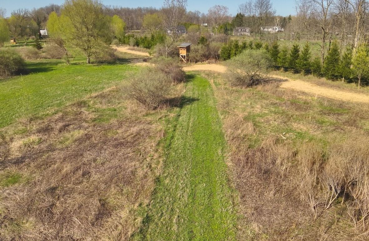 5 Custom Blind Middle Plot & Habitat