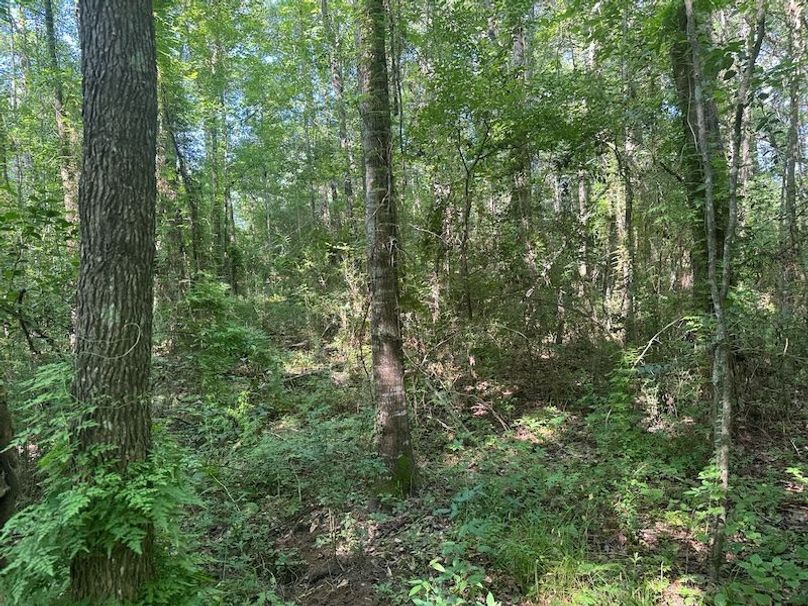 39E4A25A-D349-487B-833E-EC7282E3D34D