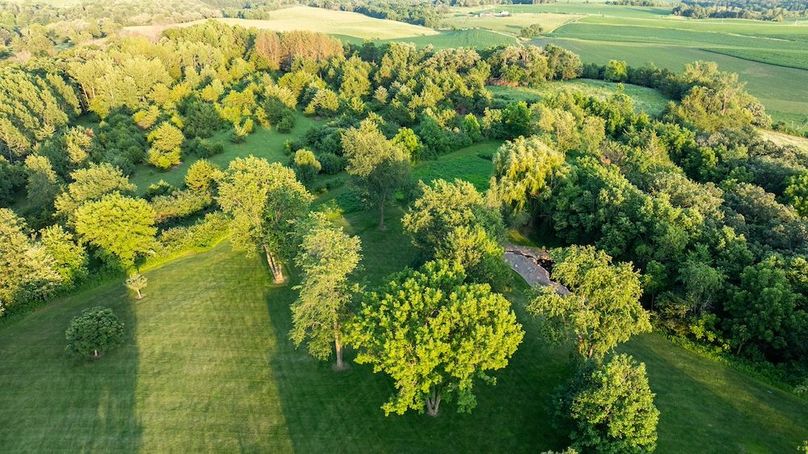 Fillmore 48.25 New Updates-44