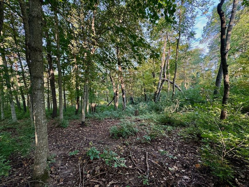 Richland 199Ground - 55