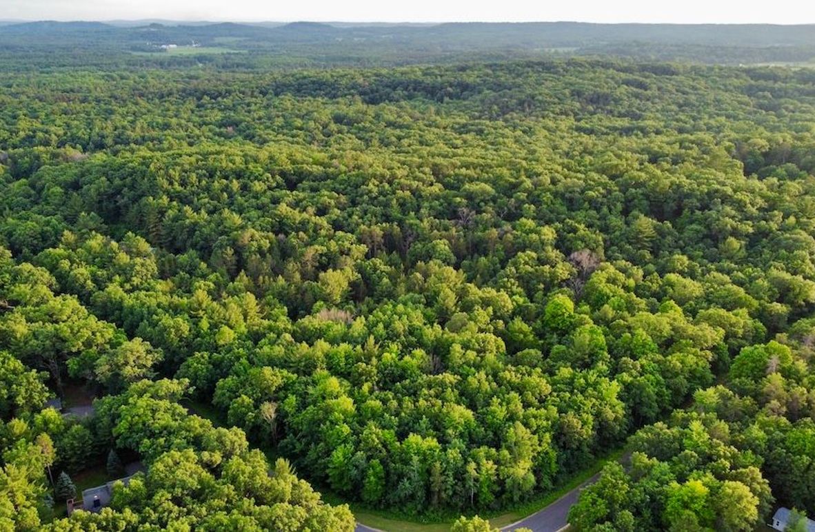 dji_fly_20250624_195338_885_1750813904617_photo_optimized