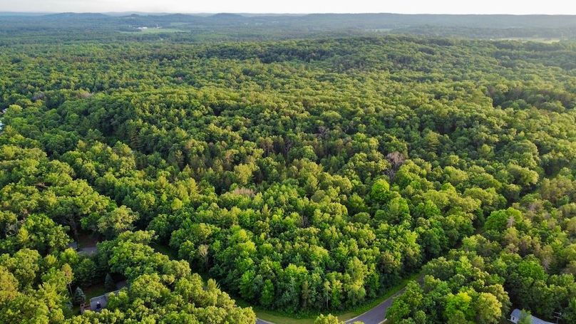 dji_fly_20250624_195338_885_1750813904617_photo_optimized