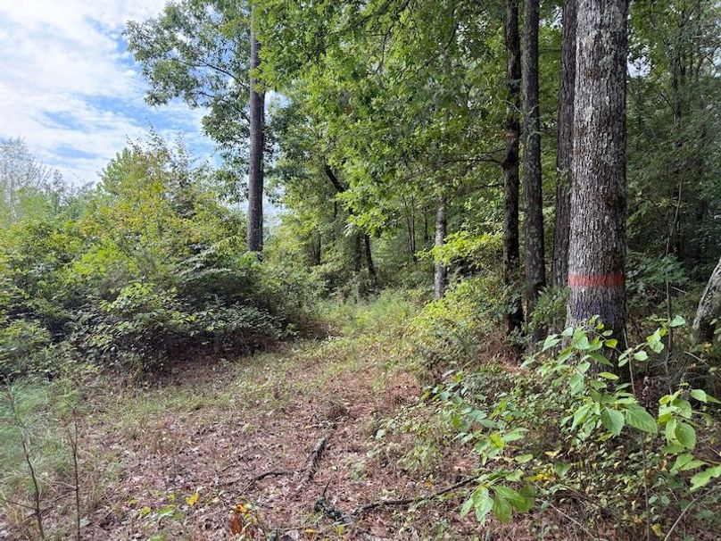 Photo Aug 14 2025, 9 28 39 AM