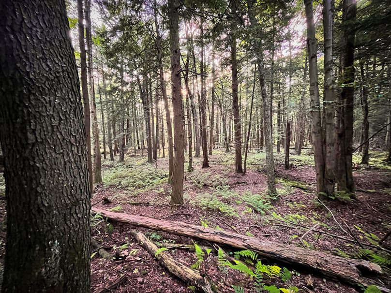 Oswego_30_RouselandInvestments_LLC_Photos_4