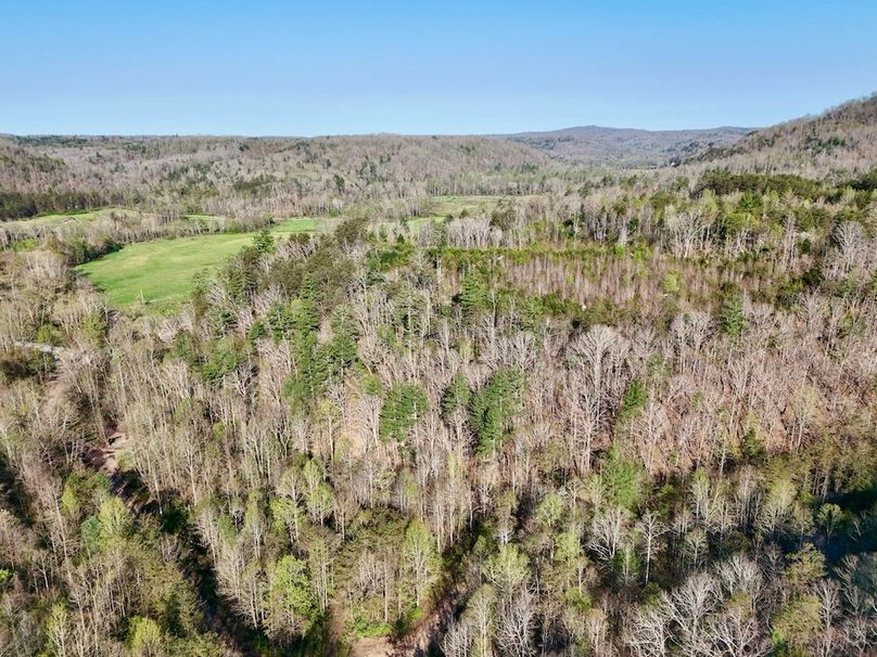 Scott Co TN 286 Keeton_057