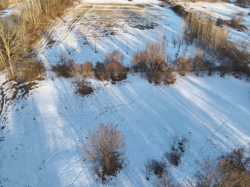 11 1st and 2nd field looking east