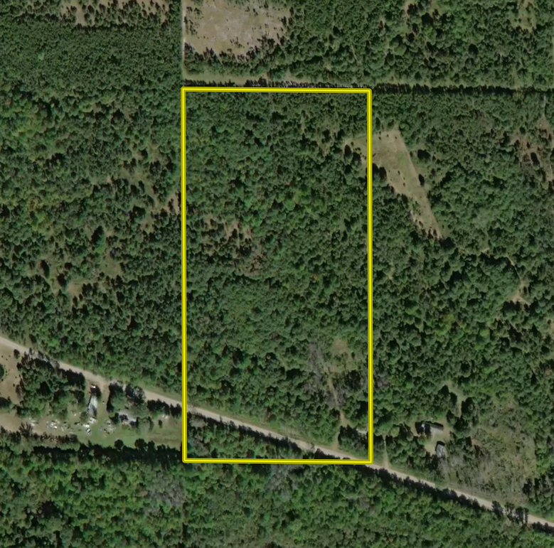 Screenshot 2024-03-15 at 10.57.54 AM