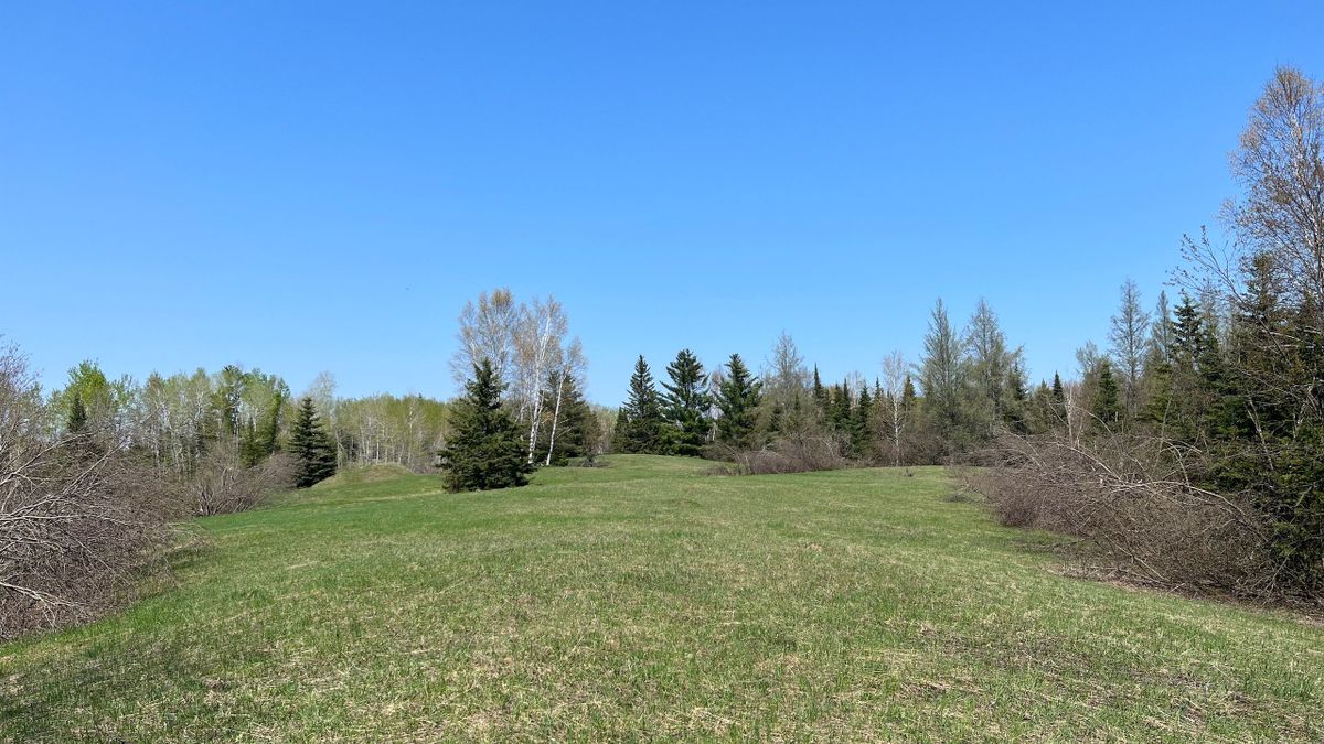 Homestead Location And Hunting Land On Balsam Creek In Northern WI