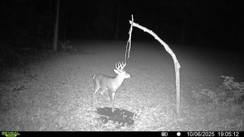 016579004341785-68-3-10062025190512-SYFW00351