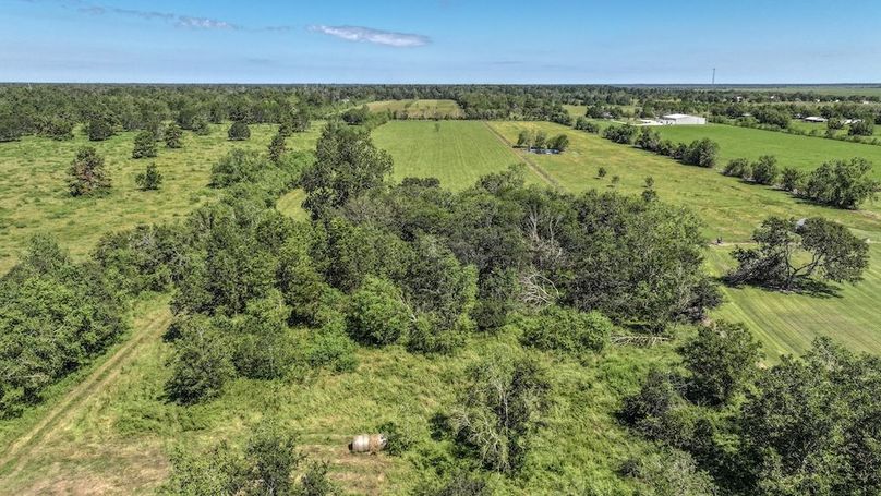 Copy of DJI_20240909115751_0015_D