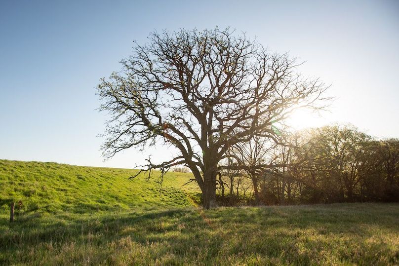 MONTGOMERY CO IA. 156.78_38