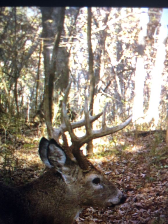 59486875850__83960379-87AB-49FC-BC43-D12ECC433A93