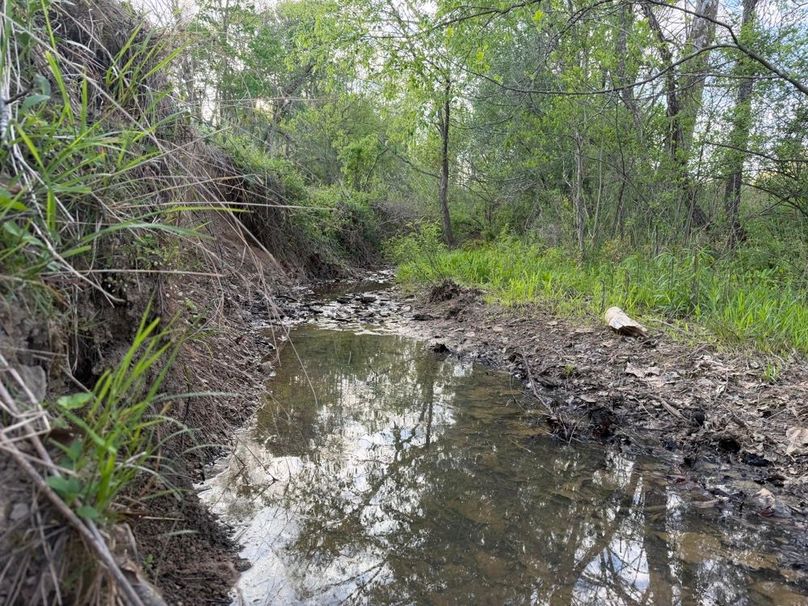 019 Tranquil seasonal stream meanders through the timber, offering a peaceful setting and natural water source during wetter months-2