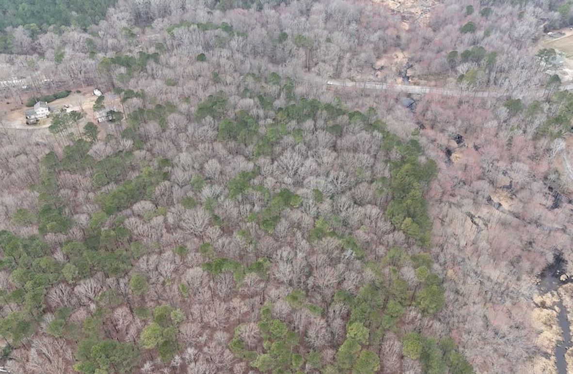 dji_fly_20260225_113236_0118_1772037654368_photo