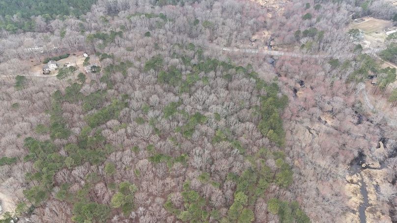 dji_fly_20260225_113236_0118_1772037654368_photo