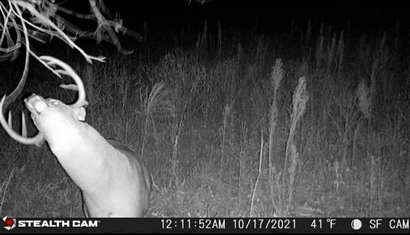 Screenshot_20220717-160359_Gallery