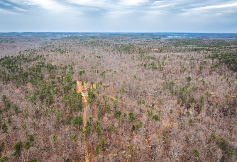 DJI_20250403135156_0601_D