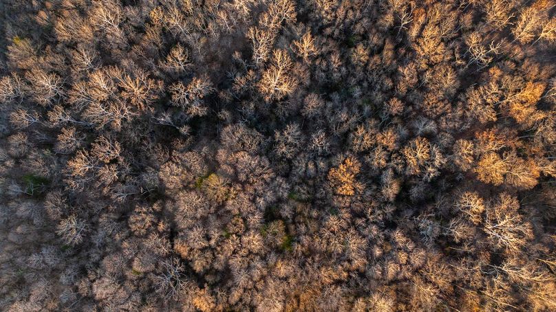 DJI_20251208160045_0019_D