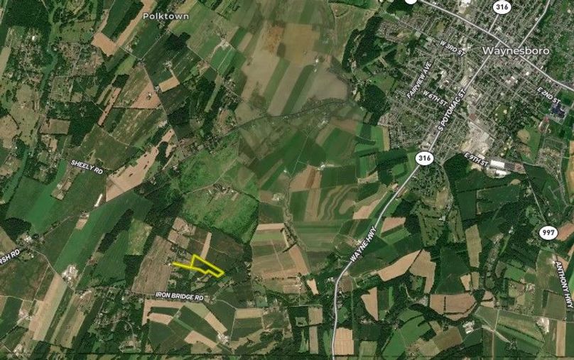 franklin 11 (medium)