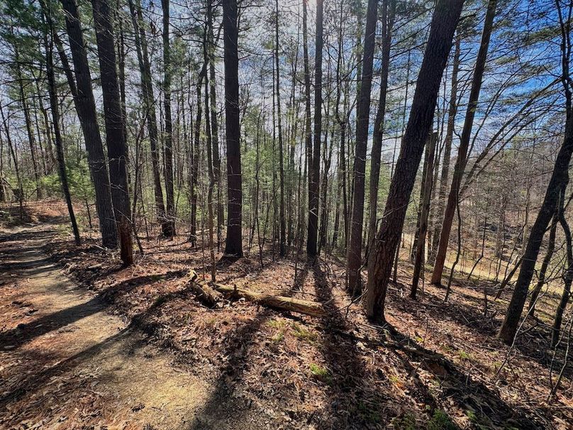 001 beautiful view from the potentail cabin seat