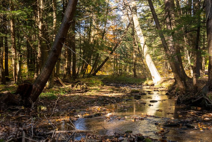 Elk PA 7000 Feature_Pro Photo-120