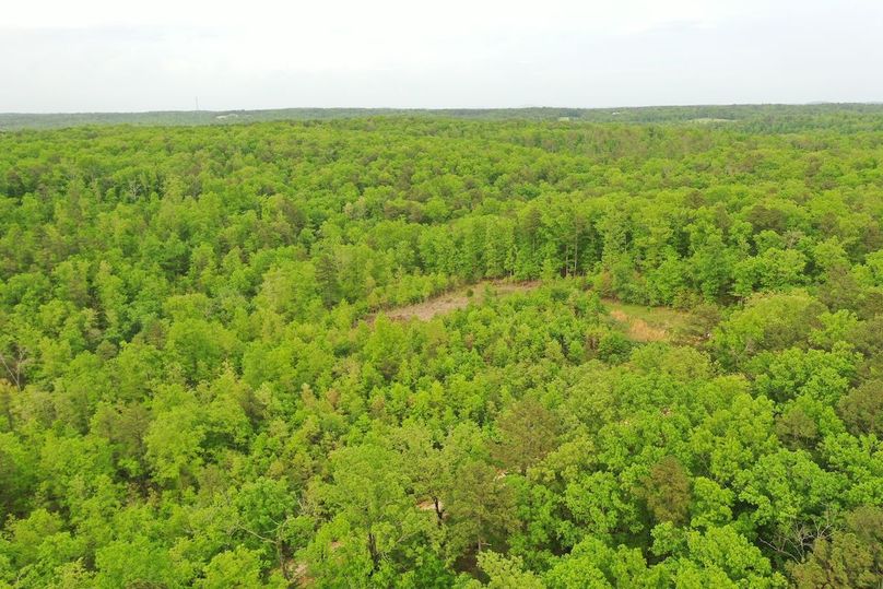 DJI_0803