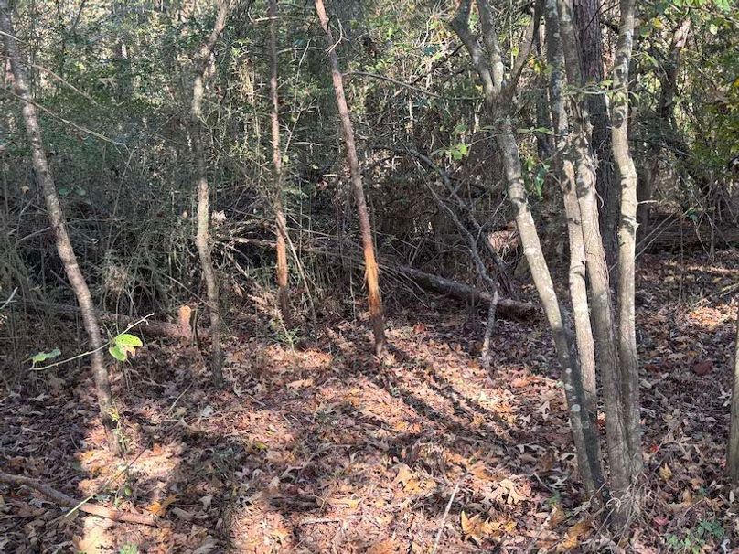 Jeff 11720251111_0223