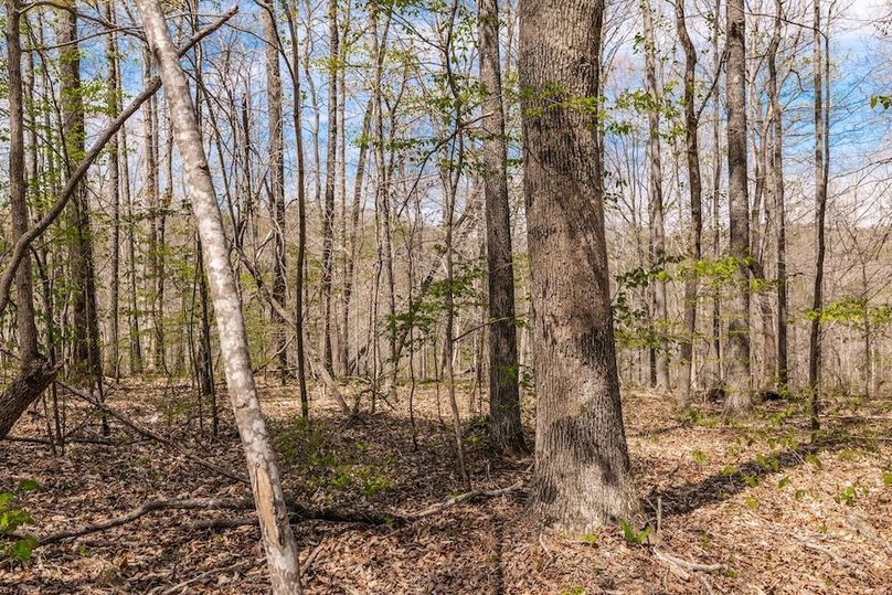 43-web-or-mls-0 Mound Creek Rd-13