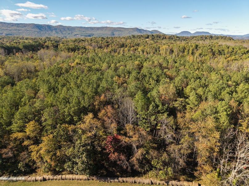 DJI_20251014160521_0001_D