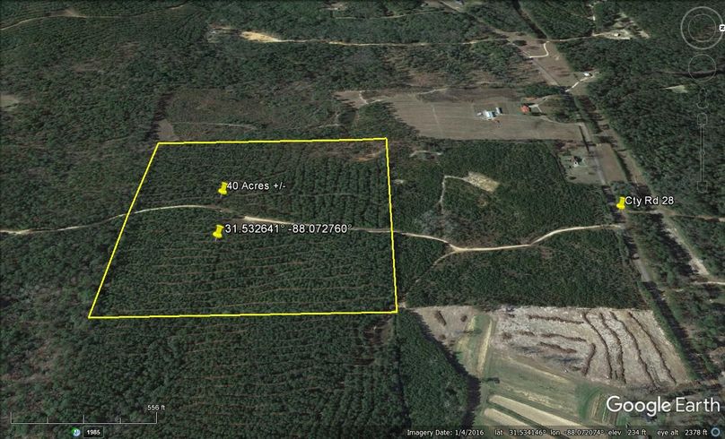 Aerial #5 Approx. 40 Acres Washington County, AL