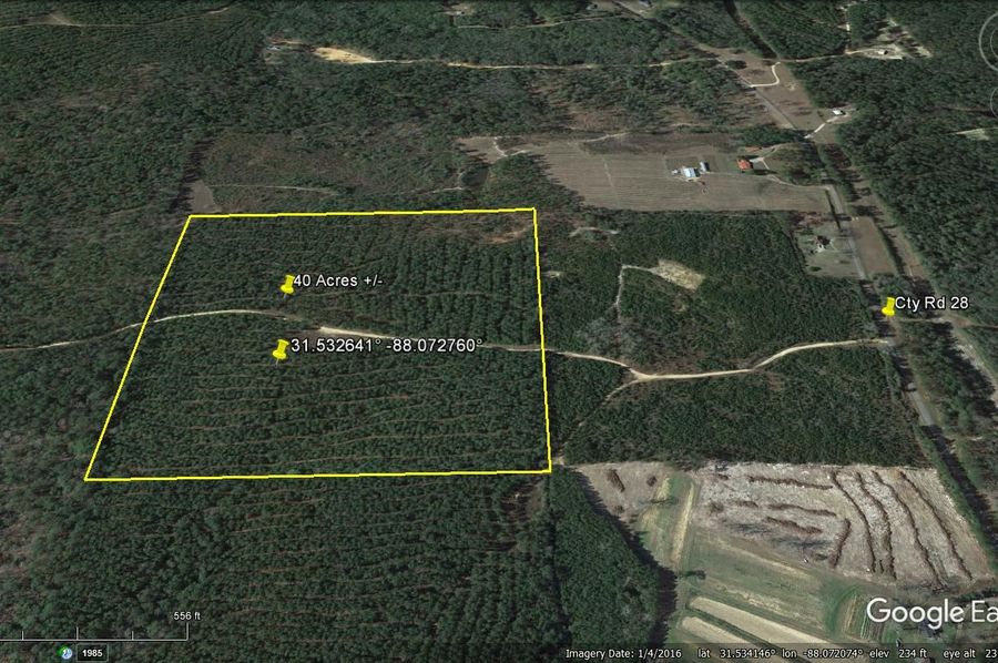 Aerial #5 Approx. 40 Acres Washington County, AL