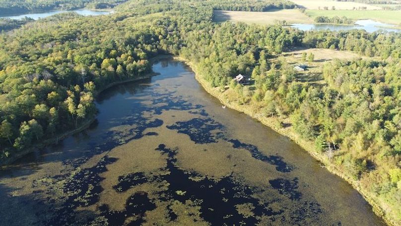 dji_fly_20240925_171536_918_1727302545441_photo_optimized