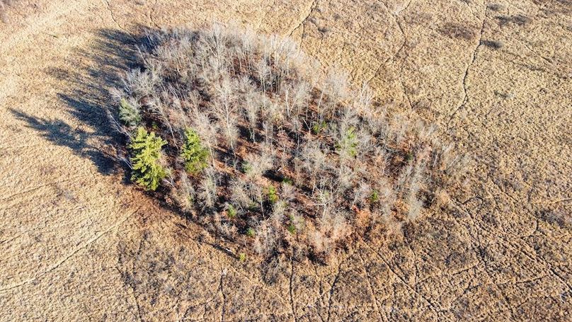 ClarK 160 WILLIAMS -29