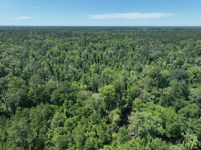 dji_fly_20250522_163612_262_1747959908044_photo