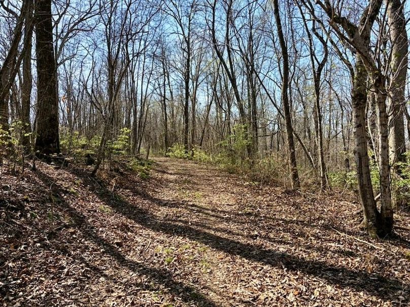 2552FB7C-5347-4C9A-9FDB-3207DFAECA14_1_105_c