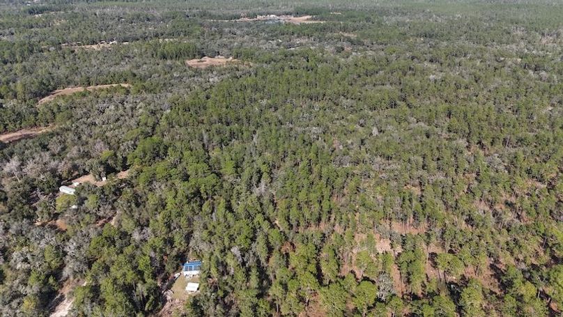 dji_fly_20251204_133018_0031_1764872860249_photo