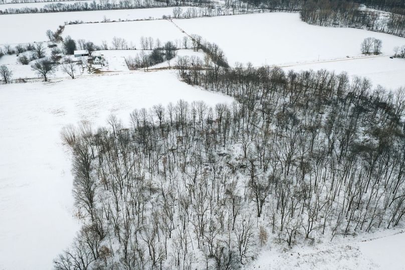 DJI_20260128165518_0593_D