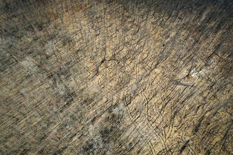 Oswego_165.52_Lashomb_Photos_36