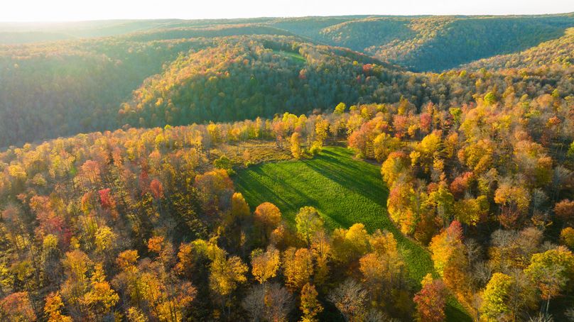 Elk PA 7000 Feature_Pro Photo-157