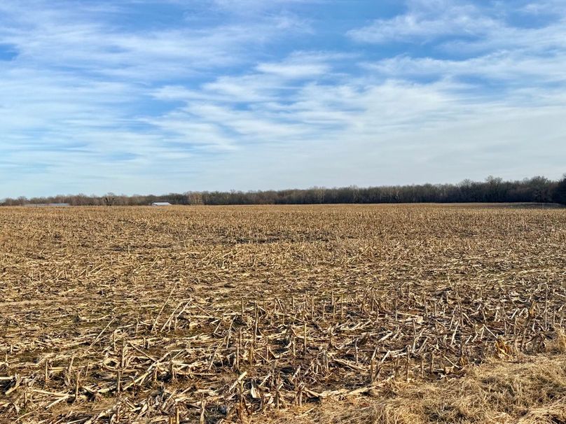 Copy of IMG_7199 Large