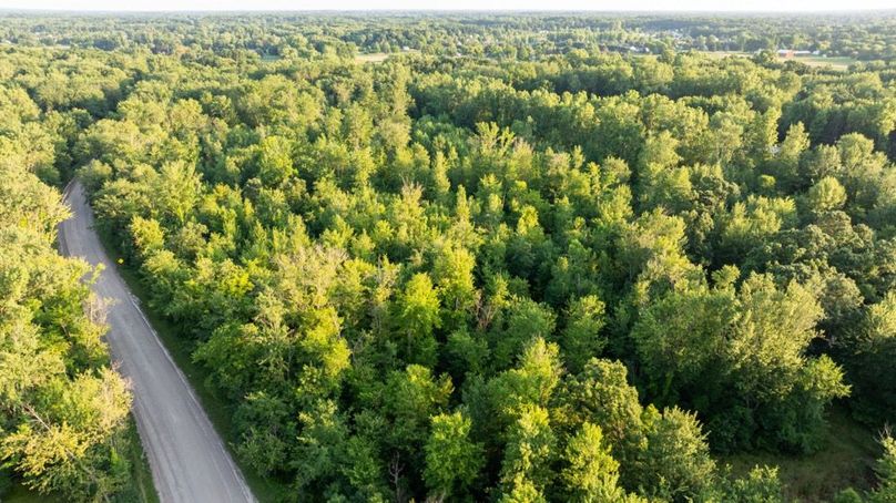 LivingstonMI41.75-128