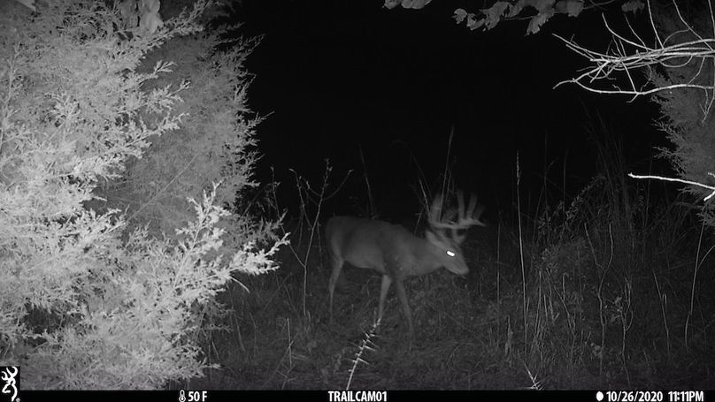 trail cam10