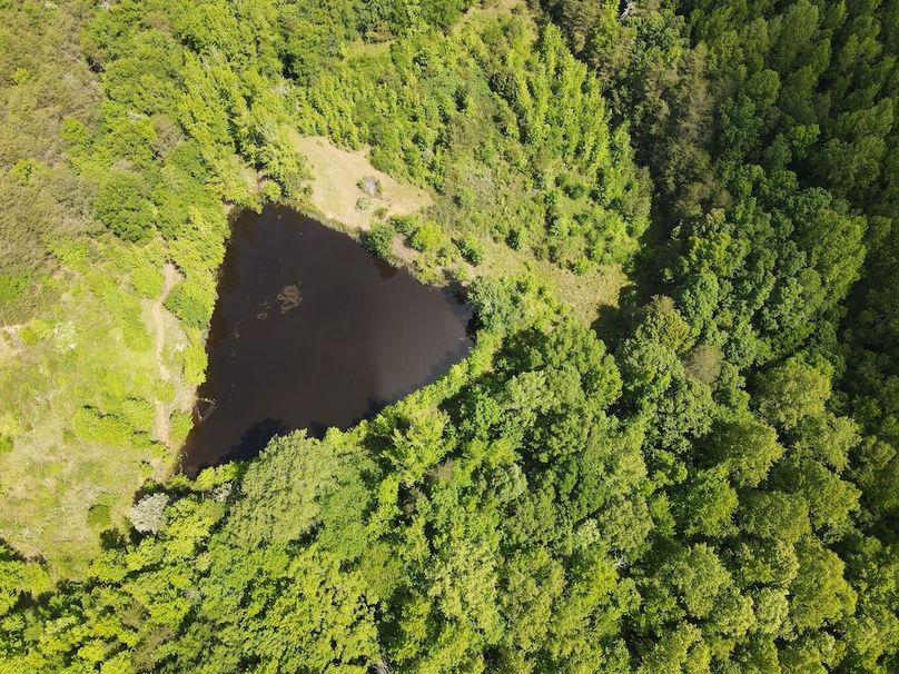 DJI_0482