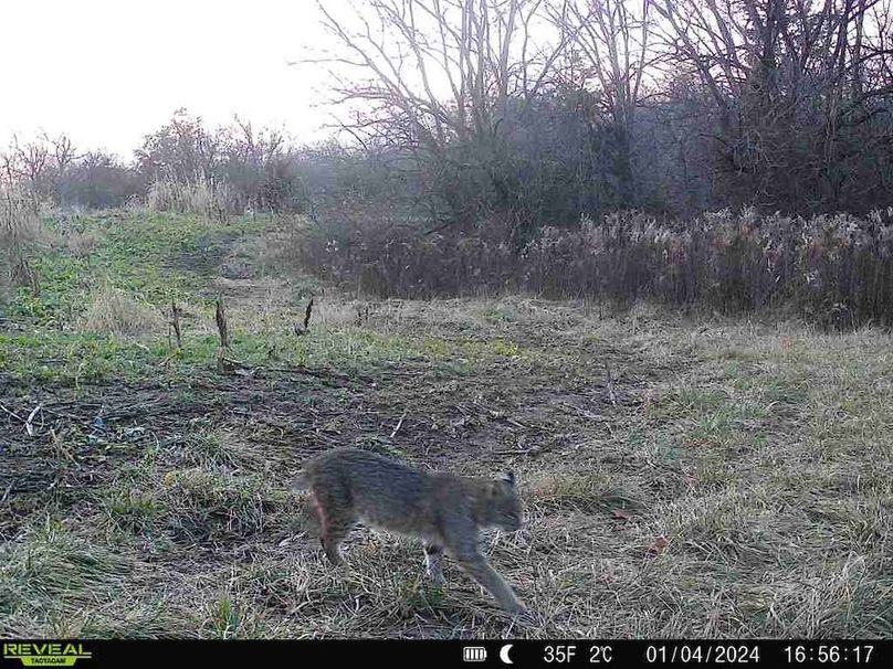 860322065287523-80-3-01042024165616-V-W1000686