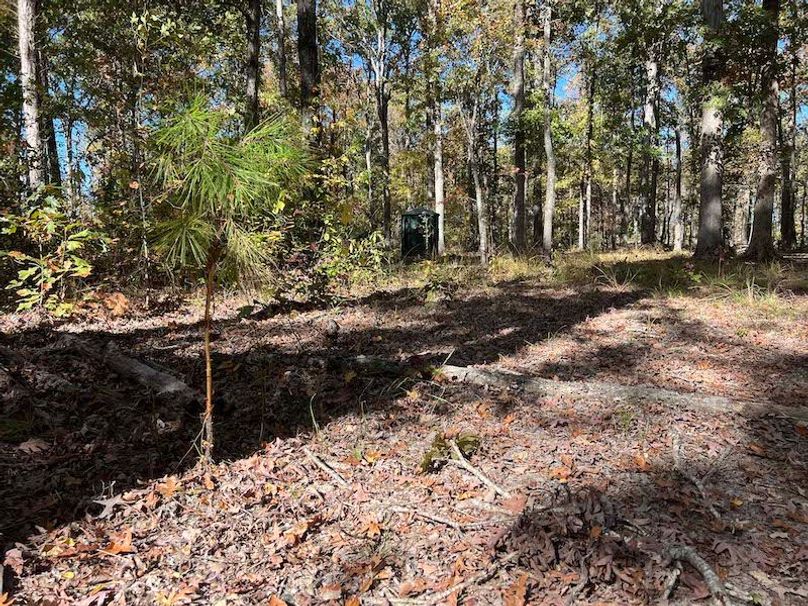 jeff 5020251111_0327